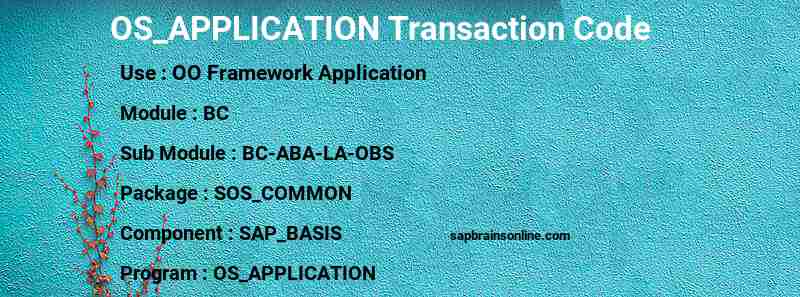SAP OS_APPLICATION transaction code