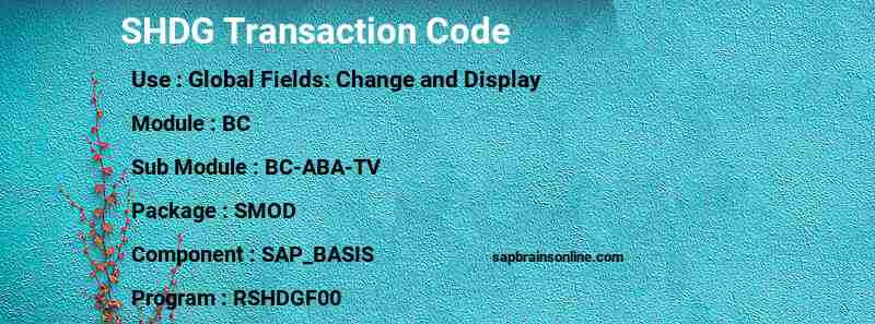 SAP SHDG transaction code