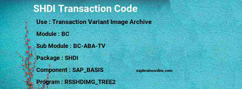 SAP SHDI transaction code