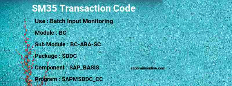 SAP SM35 transaction code