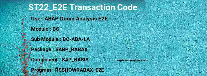 SAP ST22_E2E transaction code