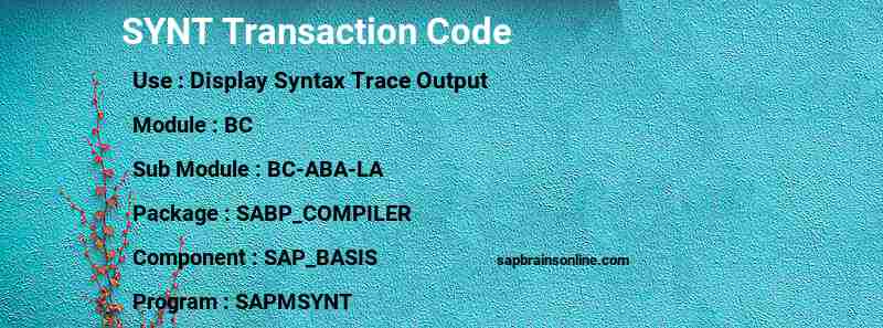 SAP SYNT transaction code