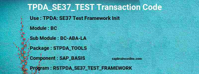 SAP TPDA_SE37_TEST transaction code