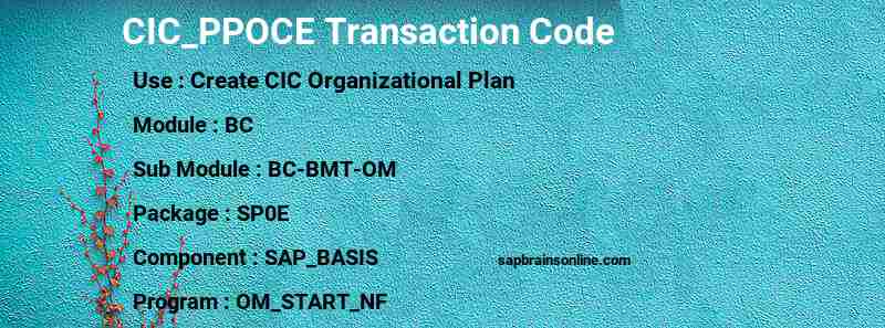SAP CIC_PPOCE transaction code