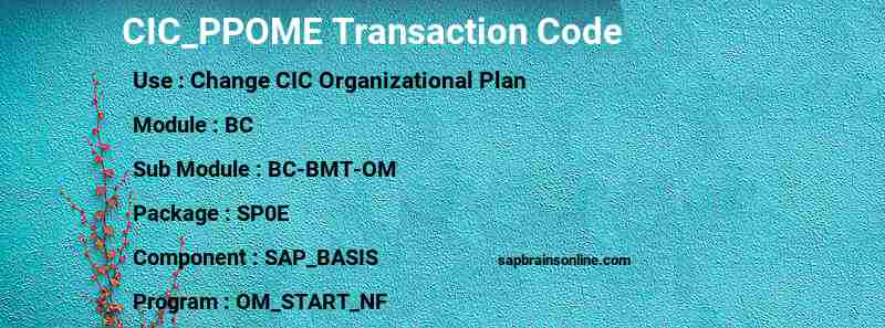 SAP CIC_PPOME transaction code
