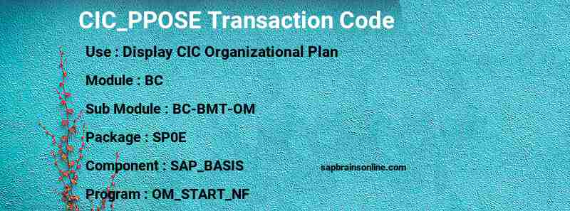 SAP CIC_PPOSE transaction code