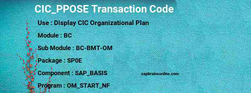 SAP CIC_PPOSE transaction code