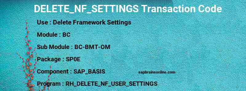 SAP DELETE_NF_SETTINGS transaction code