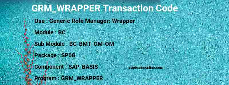 SAP GRM_WRAPPER transaction code