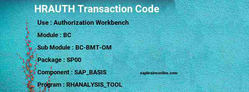 SAP HRAUTH transaction code