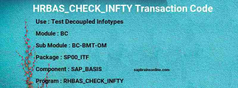 SAP HRBAS_CHECK_INFTY transaction code