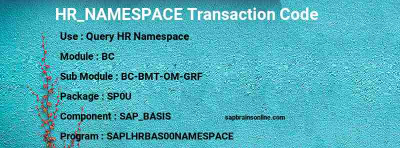 SAP HR_NAMESPACE transaction code