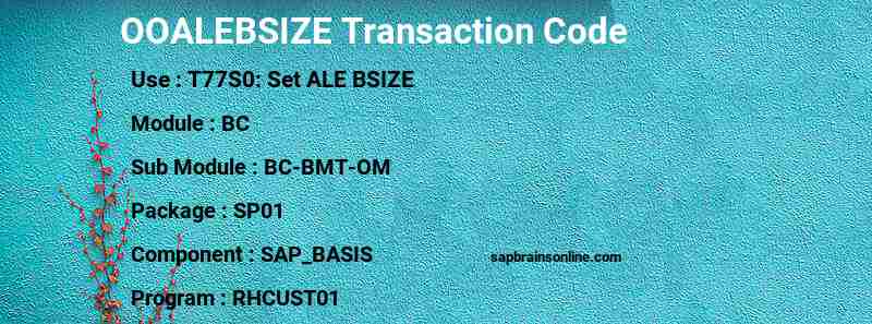 SAP OOALEBSIZE transaction code
