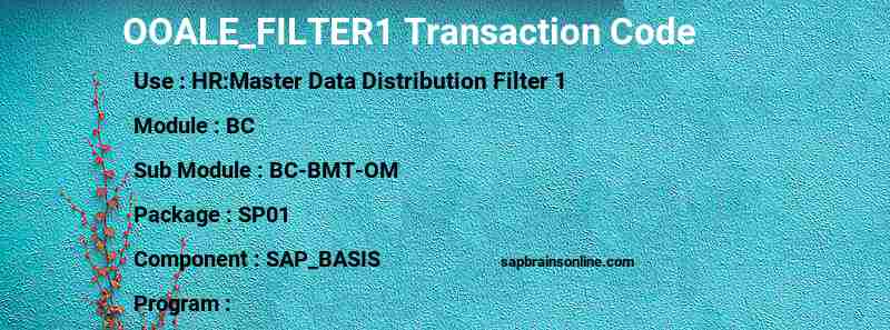 SAP OOALE_FILTER1 transaction code