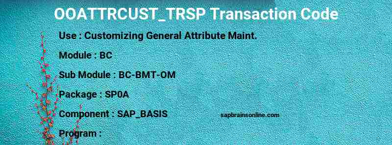 SAP OOATTRCUST_TRSP transaction code
