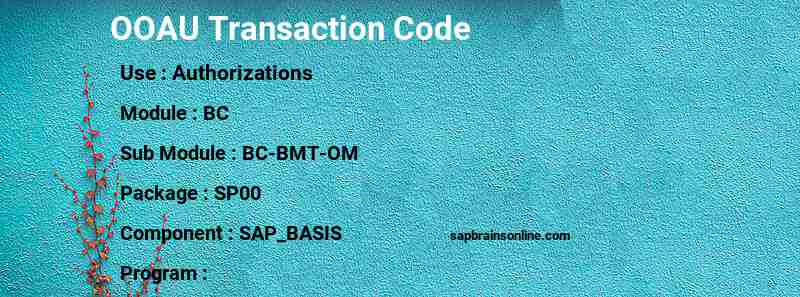 SAP OOAU transaction code