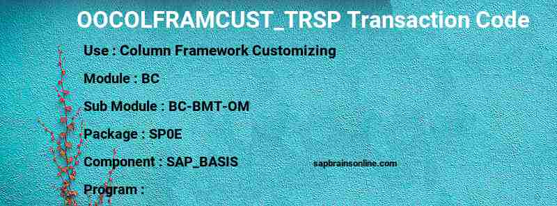 SAP OOCOLFRAMCUST_TRSP transaction code