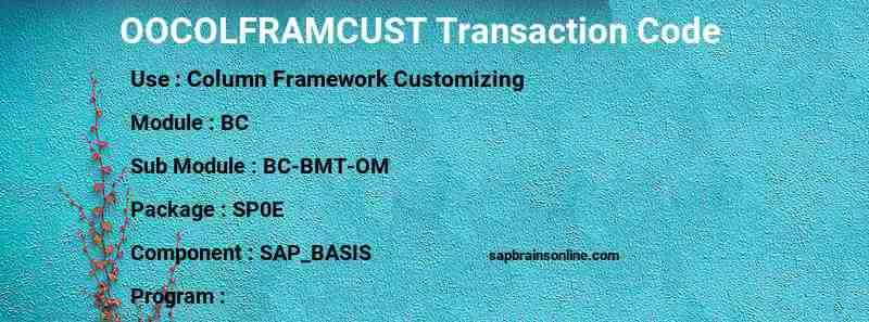 SAP OOCOLFRAMCUST transaction code