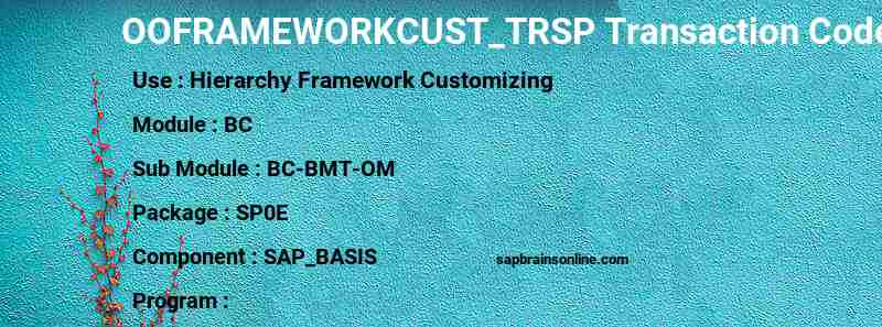 SAP OOFRAMEWORKCUST_TRSP transaction code