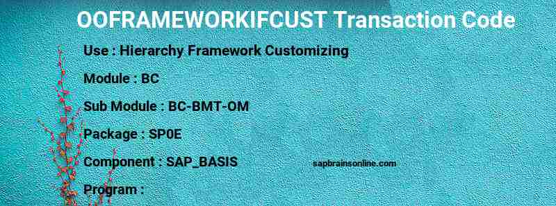 SAP OOFRAMEWORKIFCUST transaction code
