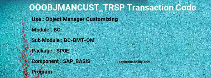 SAP OOOBJMANCUST_TRSP transaction code