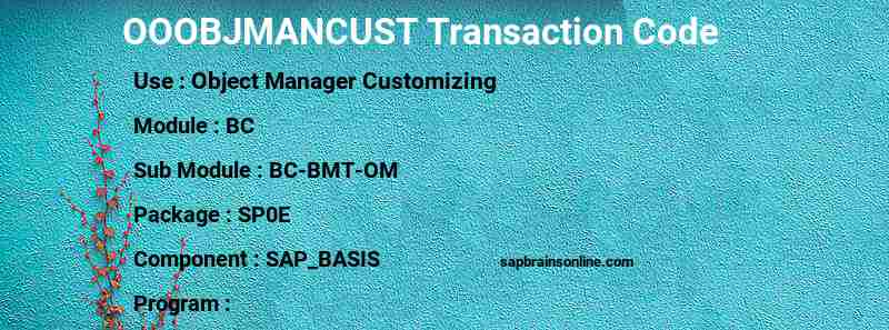 SAP OOOBJMANCUST transaction code