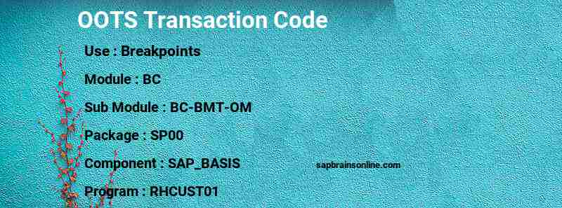SAP OOTS transaction code