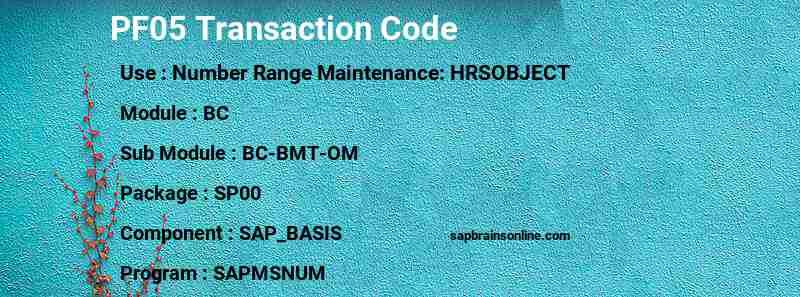 SAP PF05 transaction code