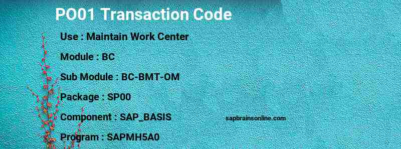 SAP PO01 transaction code