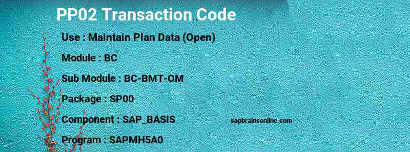 SAP PP02 transaction code