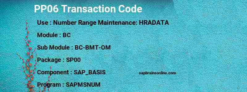 SAP PP06 transaction code
