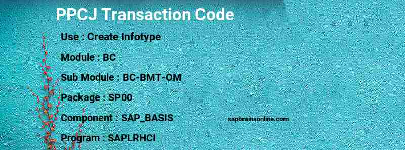 SAP PPCJ transaction code