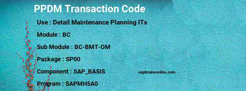 SAP PPDM transaction code