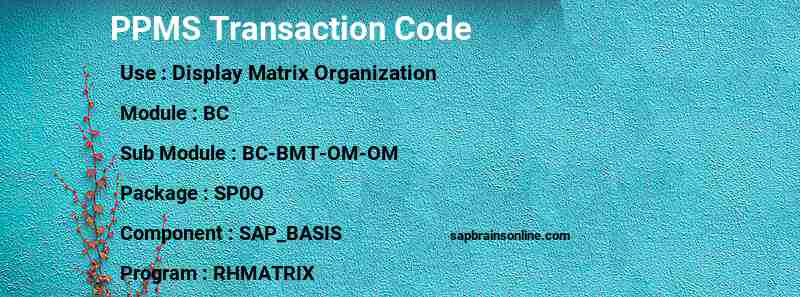 SAP PPMS transaction code