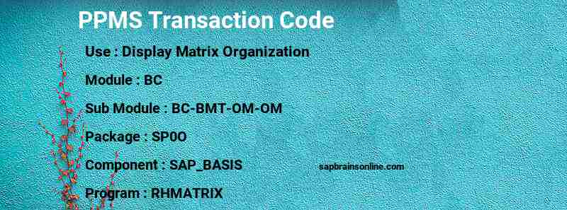 SAP PPMS transaction code