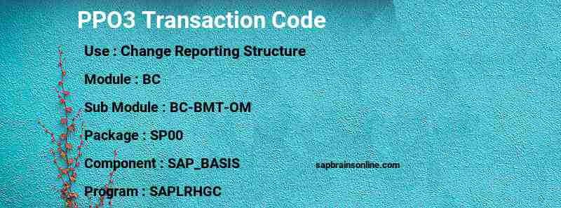 SAP PPO3 transaction code