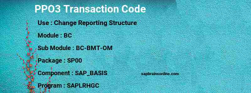 SAP PPO3 transaction code