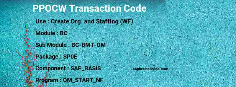 SAP PPOCW transaction code