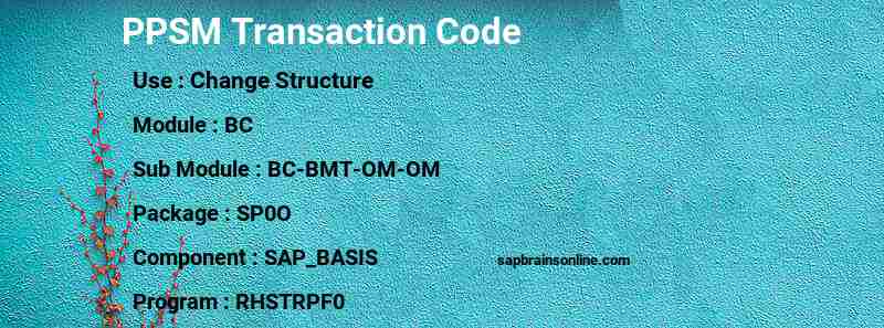SAP PPSM transaction code