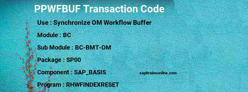 SAP PPWFBUF transaction code