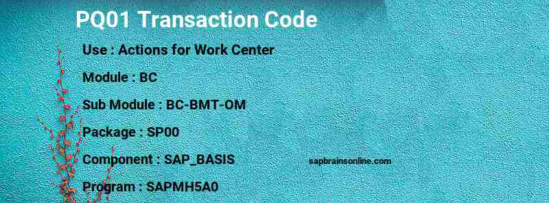 SAP PQ01 transaction code