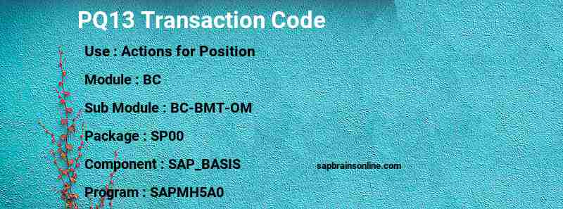 SAP PQ13 transaction code