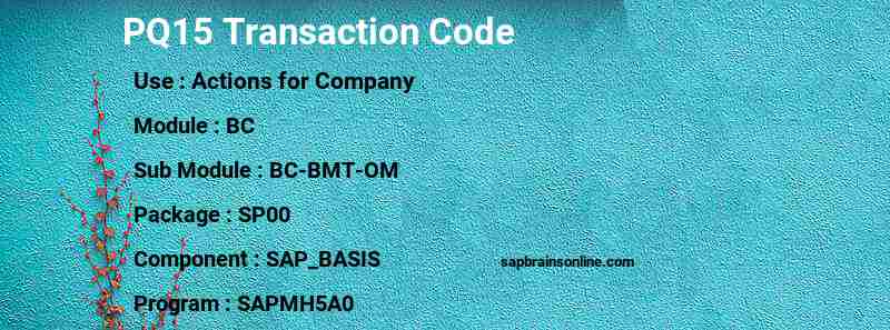SAP PQ15 transaction code