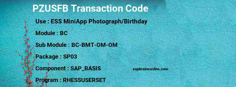 SAP PZUSFB transaction code