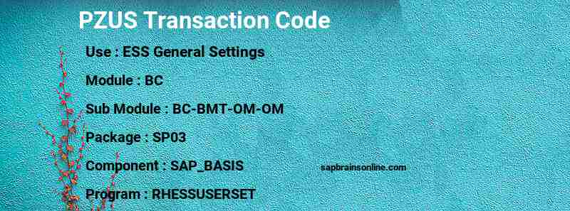 SAP PZUS transaction code