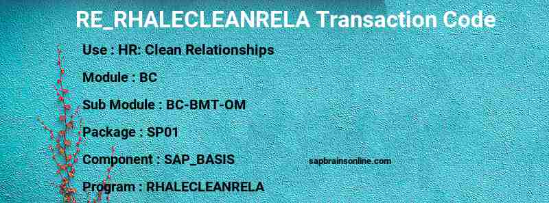 SAP RE_RHALECLEANRELA transaction code