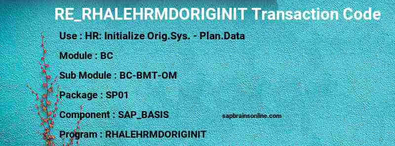SAP RE_RHALEHRMDORIGINIT transaction code
