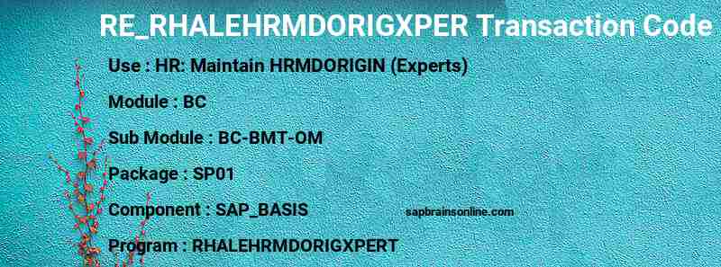 SAP RE_RHALEHRMDORIGXPER transaction code