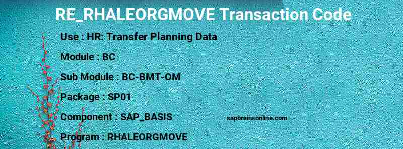 SAP RE_RHALEORGMOVE transaction code