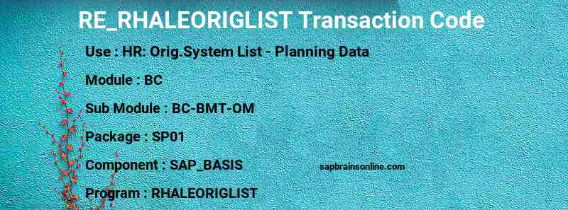 SAP RE_RHALEORIGLIST transaction code